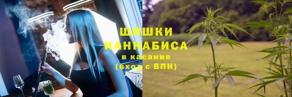 ПСИЛОЦИБИНОВЫЕ ГРИБЫ Козловка