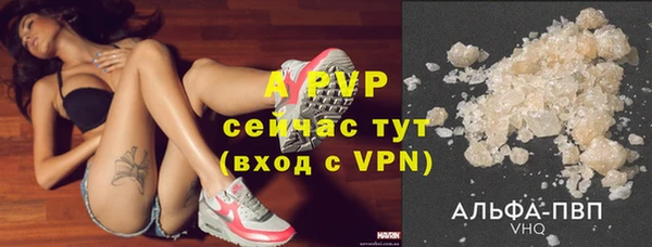 ПСИЛОЦИБИНОВЫЕ ГРИБЫ Козловка