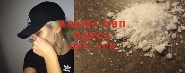 твердый Коряжма