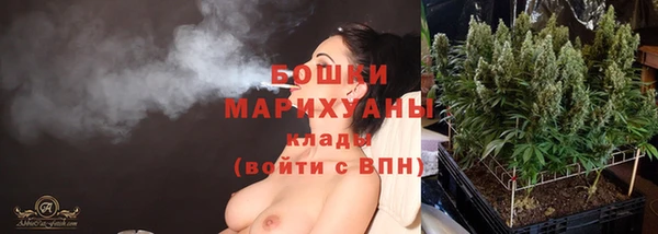 ПСИЛОЦИБИНОВЫЕ ГРИБЫ Козловка