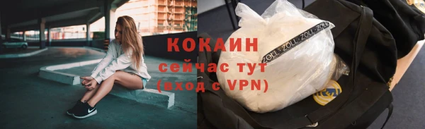 ПСИЛОЦИБИНОВЫЕ ГРИБЫ Козловка