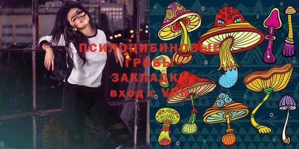 ECSTASY Кодинск