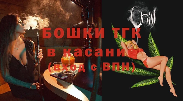 ПСИЛОЦИБИНОВЫЕ ГРИБЫ Козловка