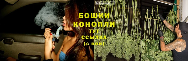 ПСИЛОЦИБИНОВЫЕ ГРИБЫ Козловка