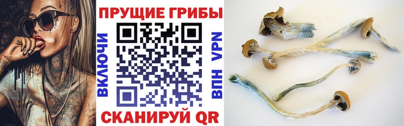 Купить закладки  Протвино  Галлюциногенные грибы Magic Shrooms 